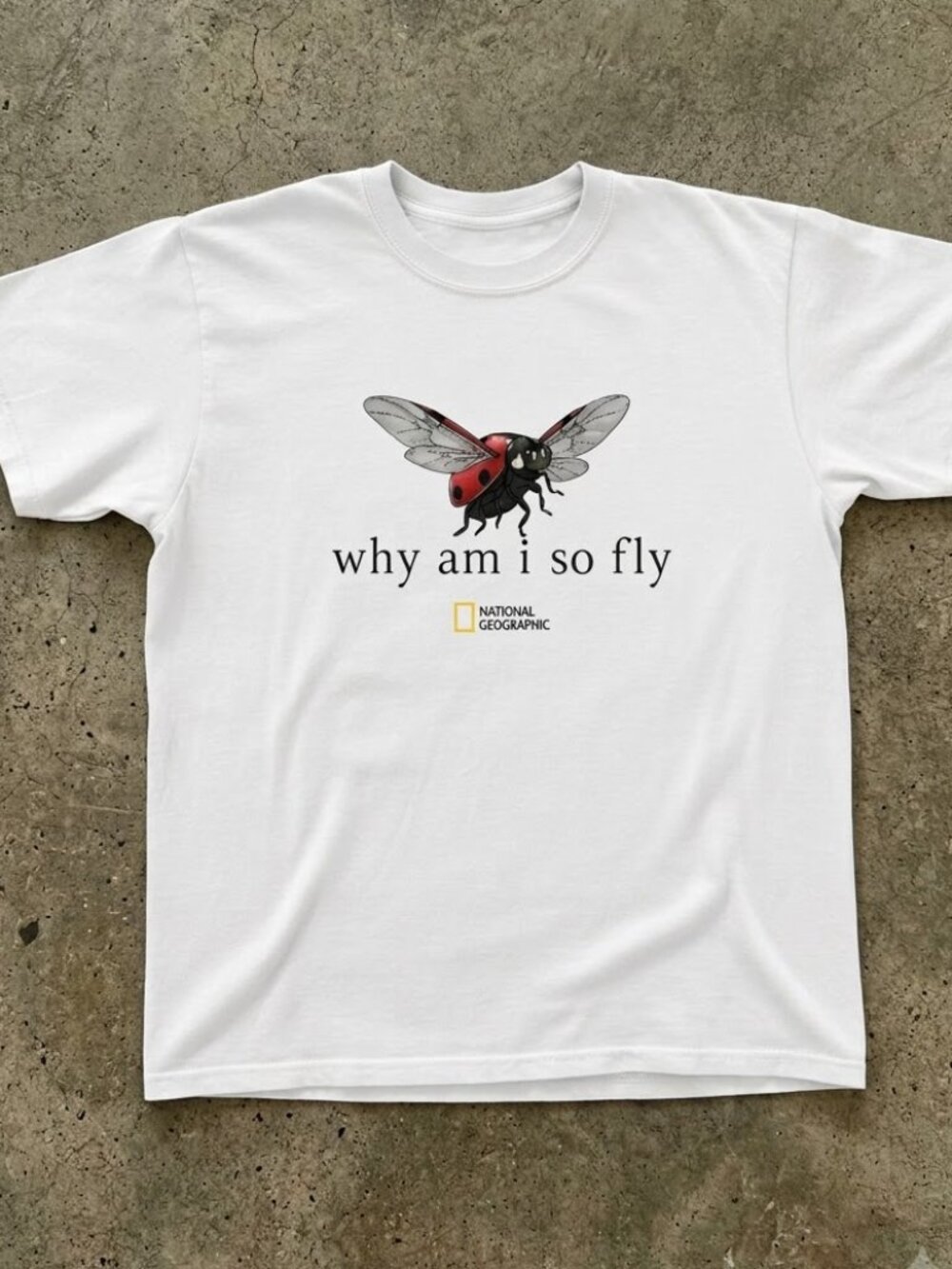 National Geographic "Why Am I So Fly" ladybug t-shirt